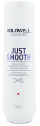 Goldwell Dualsenses Just Smooth Taming Shampoo 250 ml