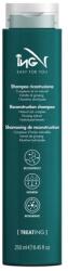 ING Treating Reconstruction Shampoo 250 ml