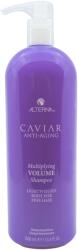 Alterna Haircare Caviar Anti-Aging Multiplying Volume Shampoo 1000 ml