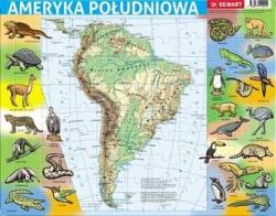 Demart Puzzle în ramă - America de Sud fizică Puzzle