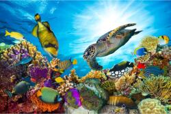 Blueback MAT Fotótapéta, 250 x 200 cm, Vízi világ, korallzátony (BBIMG2447)