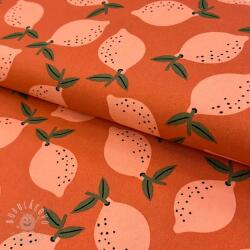  Dekorációs anyag Fruits design F