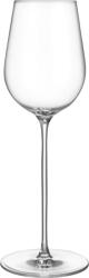 Orrefors Pahar de șampanie Orrefors x Björn Frantzén 290 ml (6402914) Pahar