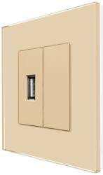 Luxion Priza USB + Blank cu Rama din Sticla LUXION SmartElectro IntelligentHouse (LX-MP029G-G)