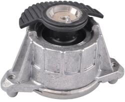 TEDGUM Suport motor TEDGUM TED25756 (TED25756)
