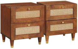 vidaXL Set 2 noptiere maro din lemn masiv de acacia, 40 x 33, 5 x 46 cm (4018879)