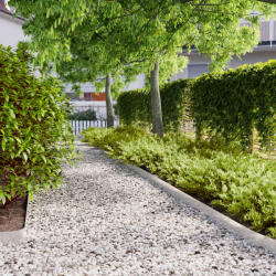 vidaXL Borduri de gazon 50 buc 10x103 cm Otel inoxidabil GartenMobel Dekor (860140)