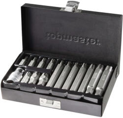 Topmaster Professional Set 15 buc biti RIBE M6-M14X 30/75mm + adaptor 1/2'' TMP HardWork ToolsRange (390175) Surubelnita