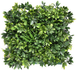 Mirpol Perete verde artificial Mirpol Aralia, panou decorativ din plastic 50x50 cm (5902659145215)