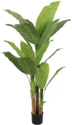 Alessandro Design Planta artificiala banan japonez 190 cm, 3 crengi, verde, fara ghiveci (AT1CT-SH1A-DRST-PA13/190)