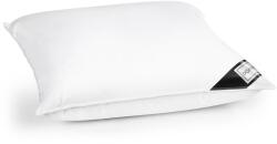Domine Perna Domine 70x70 cm din puf de gasca si bumbac organic, fermitate medie spre tare (895)