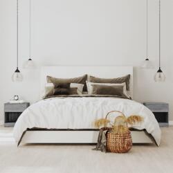vidaXL Noptiere cu sertar, 2 buc. , gri sonoma GartenMobel Dekor (342587)