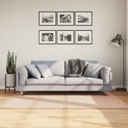 vidaXL Covor HUARTE, fir scurt, moale si lavabil, roz pudra, 120x170cm GartenMobel Dekor (375152) Covor