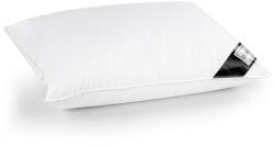 Domine Perna cu nanopuf Domine Reverie 70x70 cm, husa din bumbac (6485)