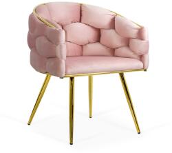  Scaun living roz din catifea cu picioare aurii cu aspect elegant BUC 251