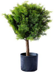  Műnövény Ciprus cserépben 60 cm (5a82035)