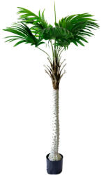  Műnövény Pálma fa 160 cm (5a80298)
