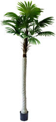  Műnövény Pálma fa 240 cm (5a80301)