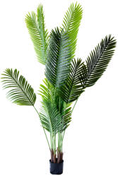 Műnövény Diópálma 120 cm (5a8040935)