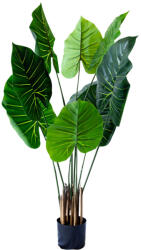  Műnövény Alocasia 120 cm (5a80695)
