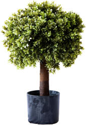  Műnövény Bukszus cserépben 60 cm (5a82405)