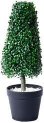  Műnövény gúla buxus cserépben kicsi, 64 cm (CCG1015)