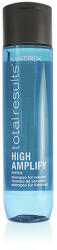 Matrix Total Results High Amplify tömegnövelő sampon a selymes hajért 300 ml