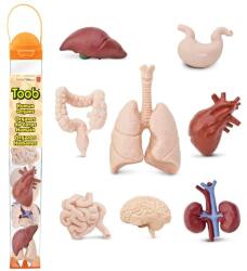 Safari Ltd Safari® Toob Organe umane 8 bucăți (S689304) Figurina