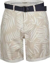 Fundango North Shore Chino Shorts D