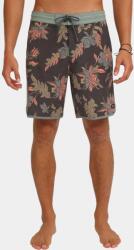 O'Neill Cruzer Scallop 18 D