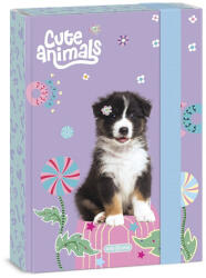 Ars Una Füzetbox ARS UNA A/5 Cute Animals-Aussie (50865284) - robbitairodaszer