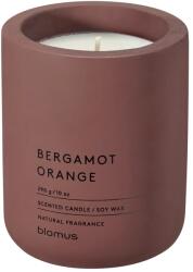 blomus Ароматна свещ FRAGA размер L - цвят Cedar Wood - аромат Bergamot Orange (BLOMUS-69052)