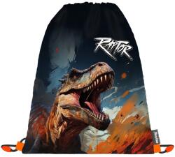 KARTON P+P Dino tornazsák (OXYBAG_3-04726)