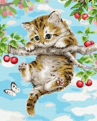 NORIMPEX - Puzzle Pictura cu diamant: Pisicuta pe un cires 30x40cm - 1 - 39 piese