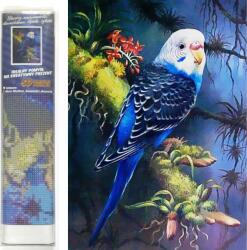 NORIMPEX - Puzzle Pictura cu diamant: Perus albastru 30x40cm - 1 - 39 piese