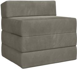 vidaXL Canapea Pat Pliabila Gri deschis 200 x 70 x 15 cm Catifea GartenMobel Dekor (900007) Canapea