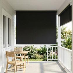 vidaXL Щора за открито с UV защита Антрацит 100 x 230 см (Ш x В) (42041214)