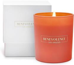 Benevolence LA Lumanare premium din soia, Benevolence LA, aroma Tudor Rose & Amber, recipient roz, ardere 45h (850040676525)