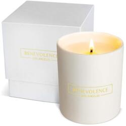 Benevolence LA Lumanare parfumata Benevolence LA, aroma de hibiscus si lemn de palmier, alba, ardere 45h (850040676310)