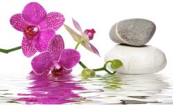 Blueback MAT Tapéta Orchideák, kövek és víz, 300 x 250 cm (BBIMG1402)