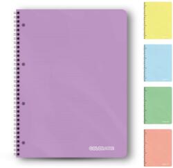 Colorarte Caiet A4, 120 file cu spira, coperta plastic, Colorarte, 5 subiecte, hartie 70g/mp (C4245)