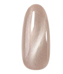 NiiZA Gel Polish 7ml - 569 Cat Eye