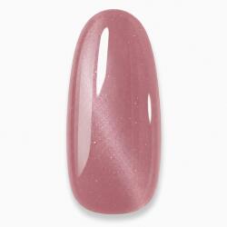 NiiZA Gel Polish 7ml - 566 Cat Eye