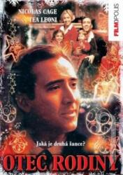 DM discont Bărbatul de familie - DVD (058843)
