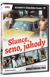 MagicBox Slunce, seno, jahody (Versiune remasterizată) - DVD