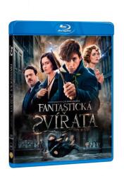 MagicBox Fantastic Beasts and Where to Find Them - Blu-ray (016095)