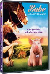 MagicBox Babe: Cel mai curajos porc din lume - DVD