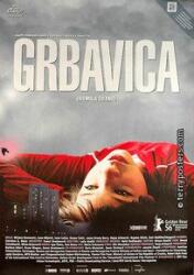 DM discont Grbavica: The Land of My Dreams - DVD