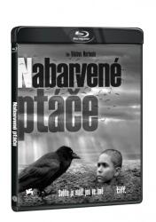 MagicBox Pasărea pictată - 2Blu-ray (Film+bonus disk)