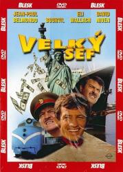 DM discont Creierul - DVD